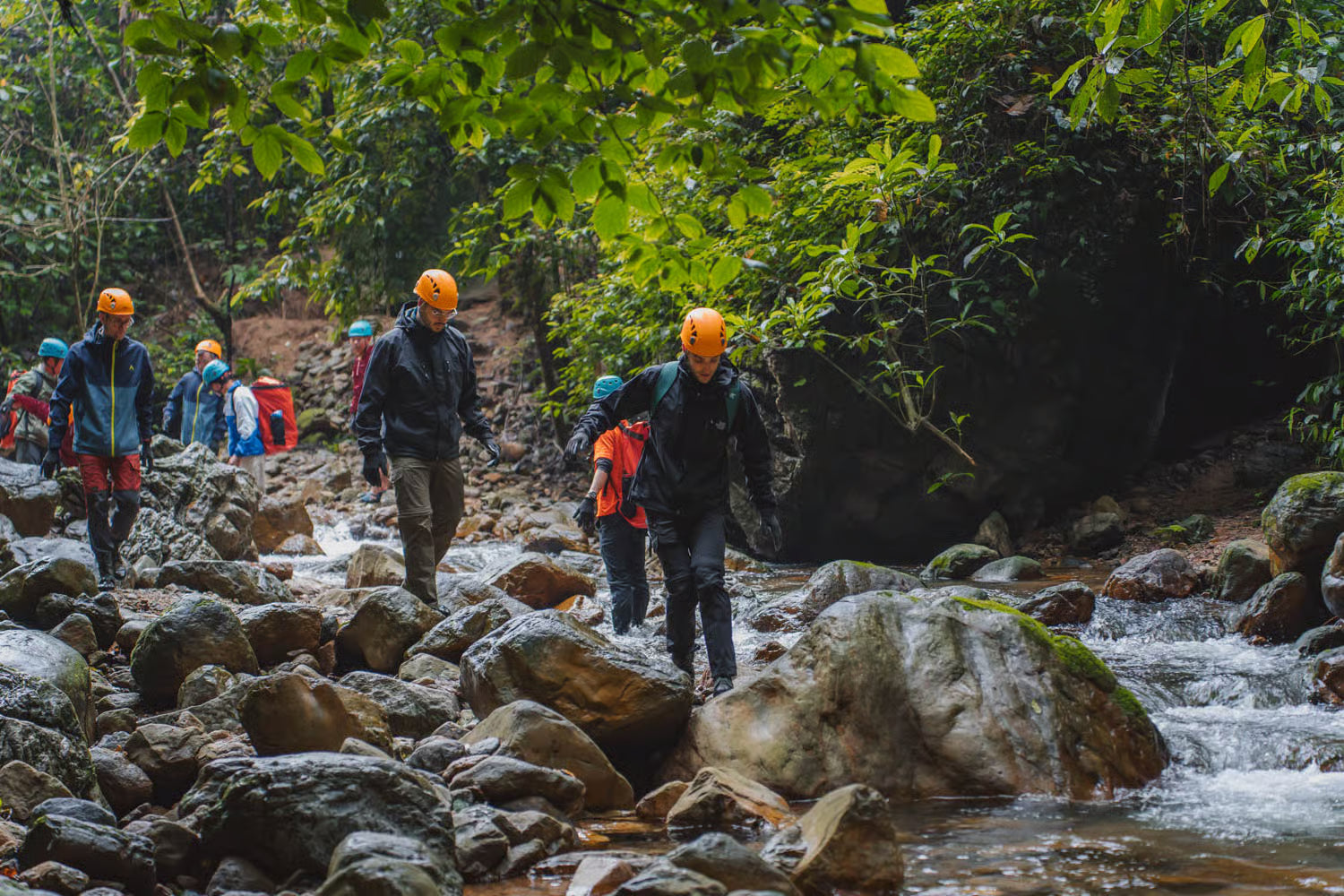 Phong Nha: Nuoc Nut Cave Discovery